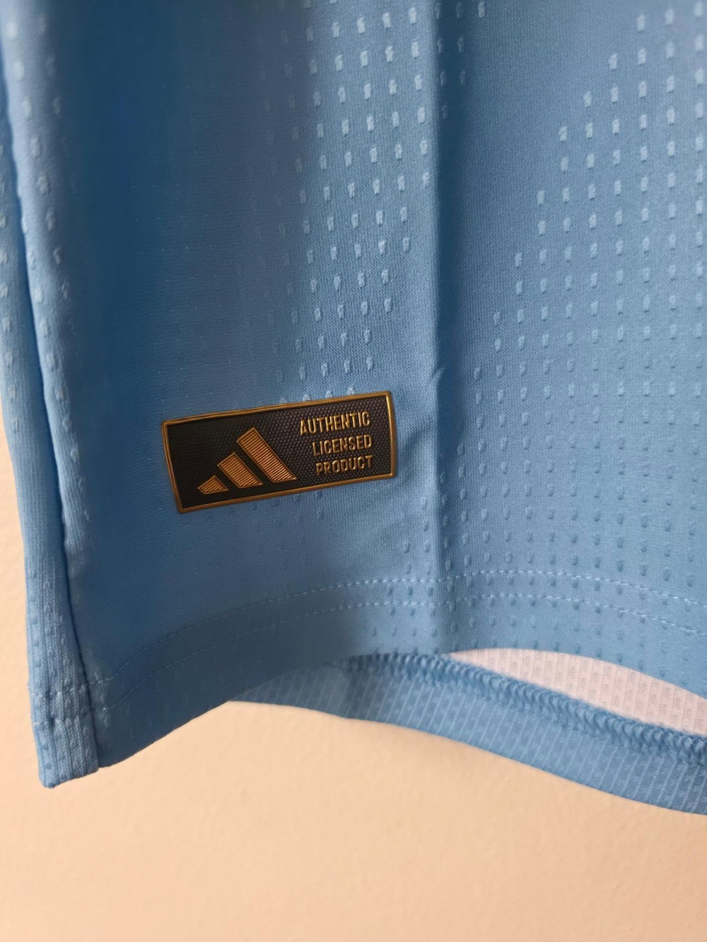 Argentina Messi Farewell Jersey (Player Version) back neck sun emblem