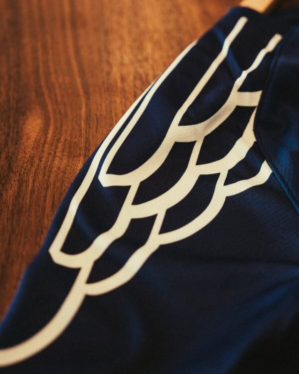 Paris Saint-Germain x Jordan 2024 Fourth Kit - Image 3